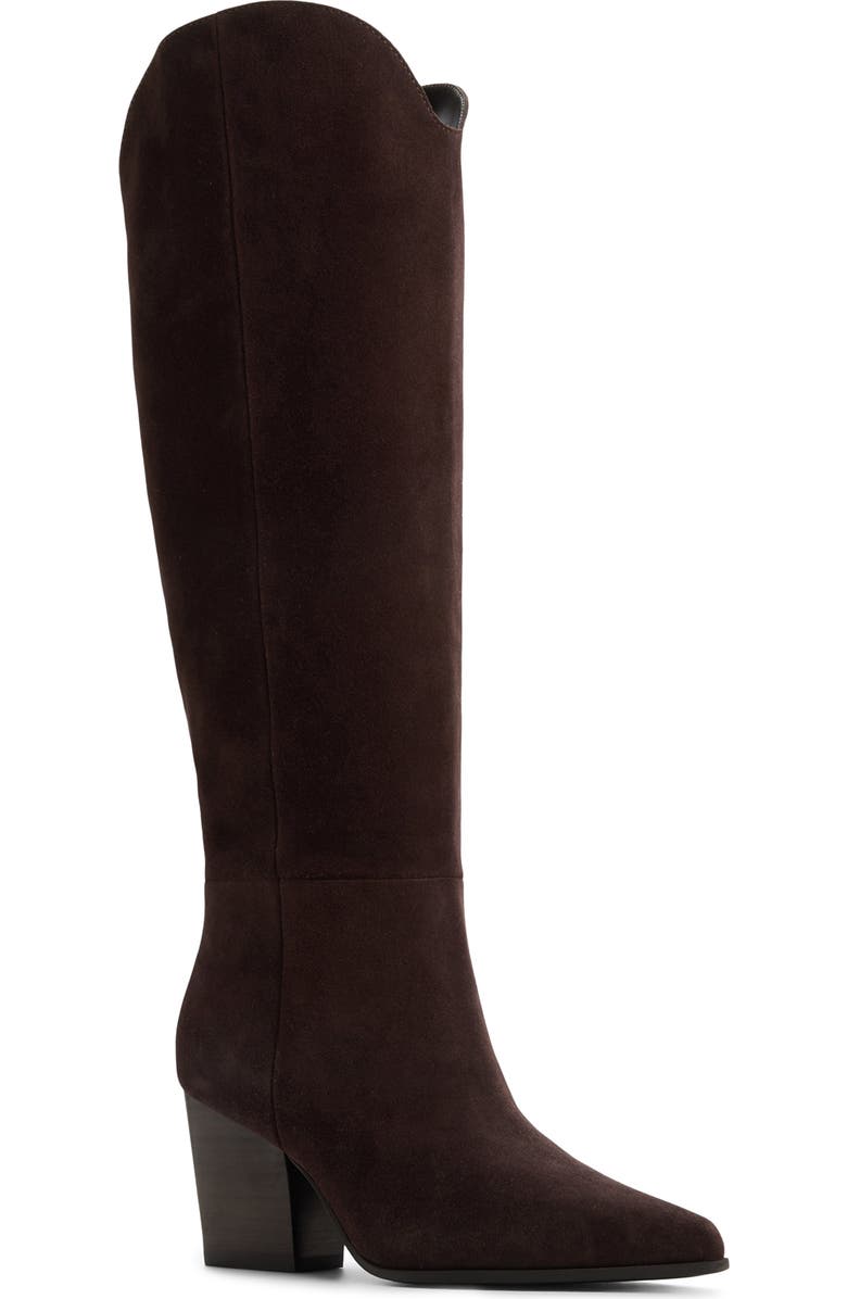 ALDO Kaely Knee High Boot, Main, color, Dark Brown