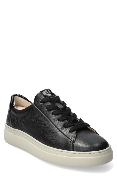 Dotty Lace-Up Sneaker