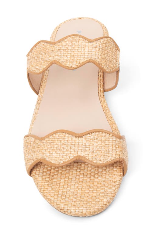 Patricia Green Palm Beach Sandal In Natural Raffia