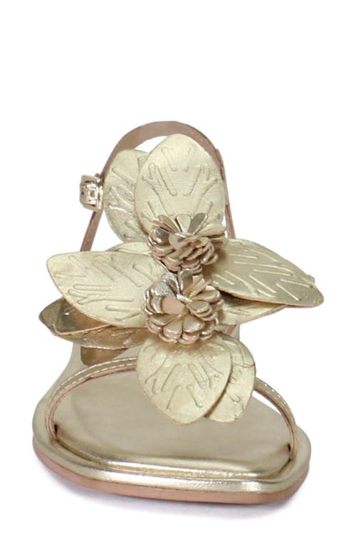 Diba True Per Shing Sandal In Gold