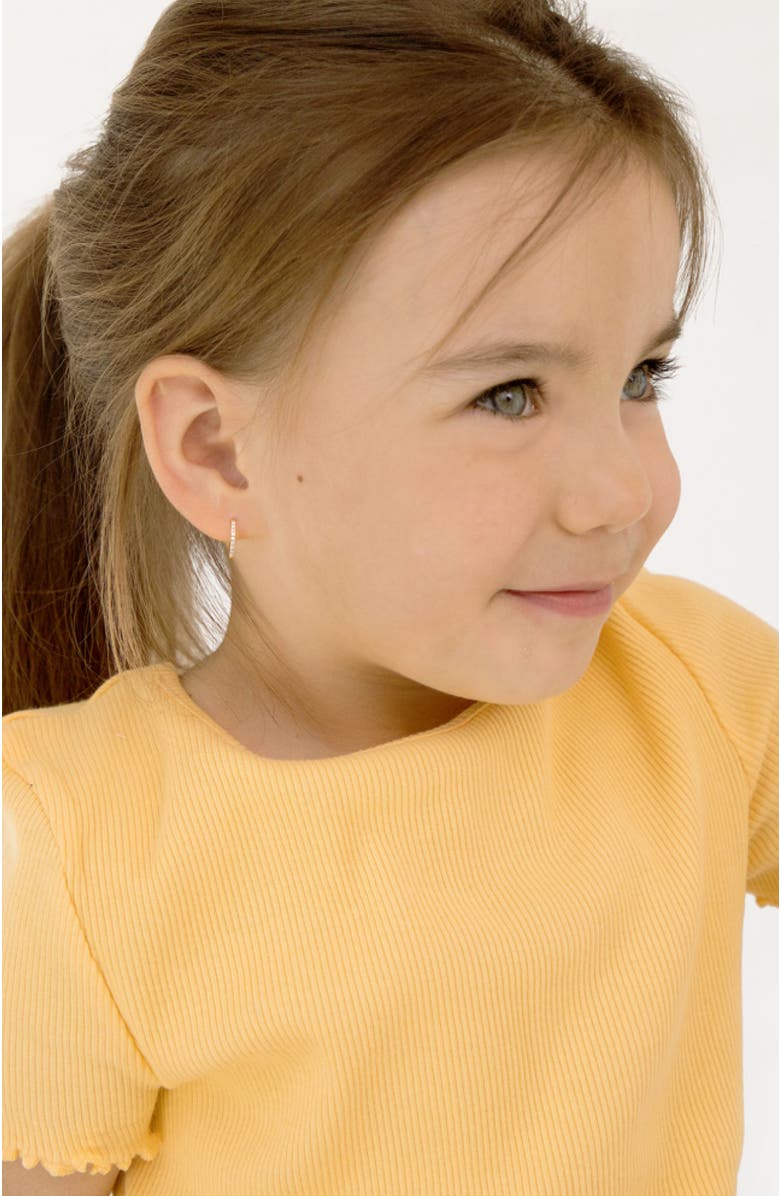 In Season Jewelry 14k Clear Cubic Zirconia Encrusted Hoop Earrings, Alternate, color, Gold