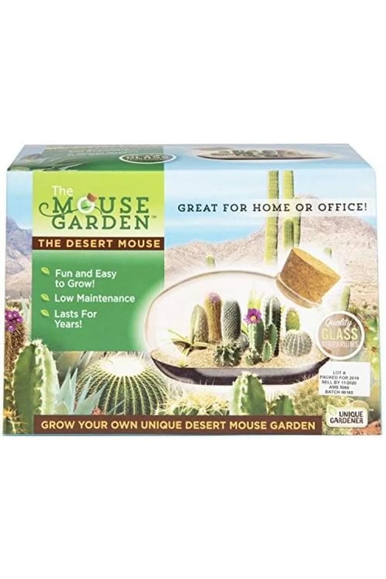 Mini Office Cactus Glass Terrarium Starter Kit with Complete Supplies - The Desert Mouse Tiny Garden, Alternate, color, None