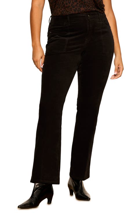 Play Date Bootcut Pants