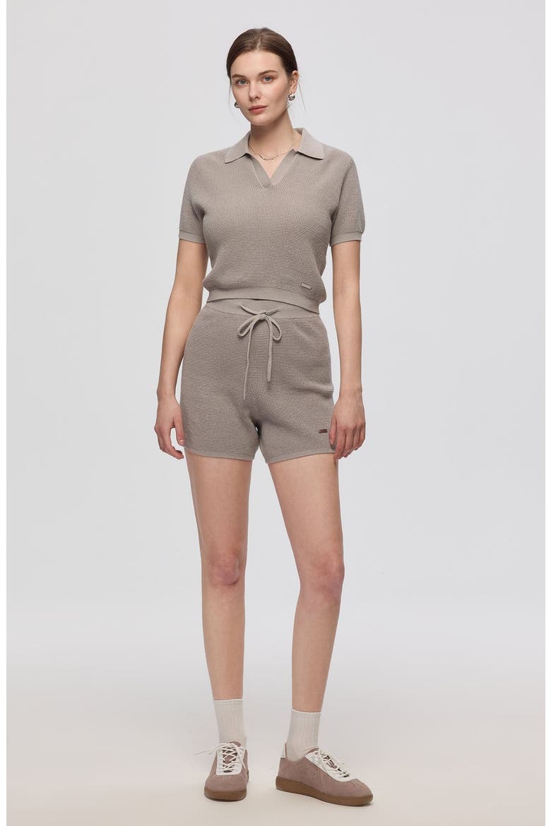Noa Open Knit Shorts, Alternate, color, Light Gray
