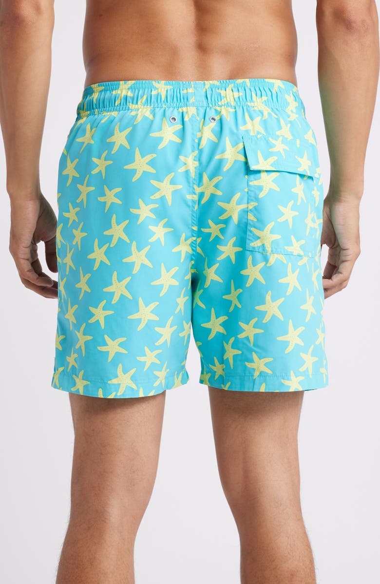 Tom & Teddy Starfish Swim Trunks, Alternate, color,