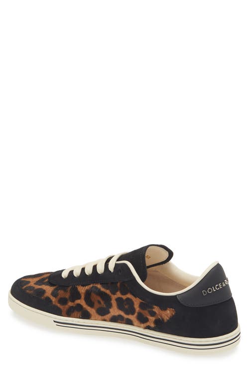 Dolce & Gabbana Dolce&gabbana Saint Tropez Light Leopard Print Genuine Calf Hair Sneaker In Animal Print