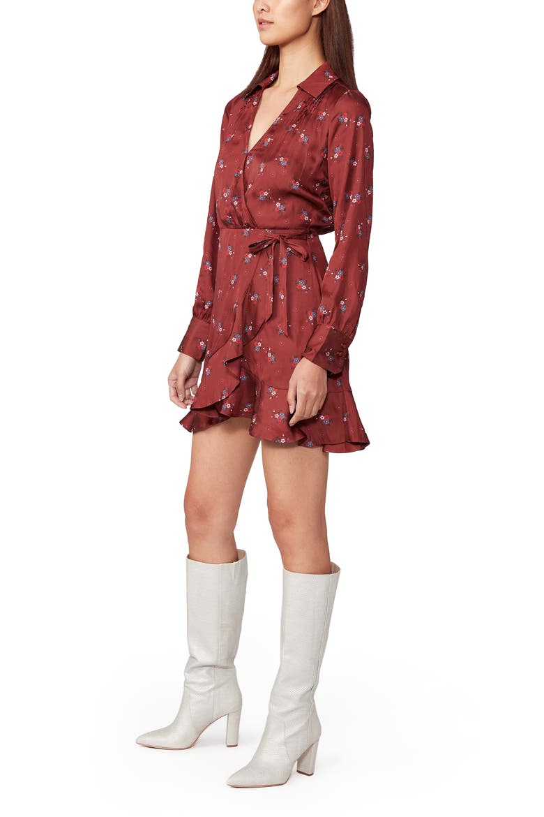 Parisa Long Sleeve Minidress, Alternate, color, VELVET RED MULTI