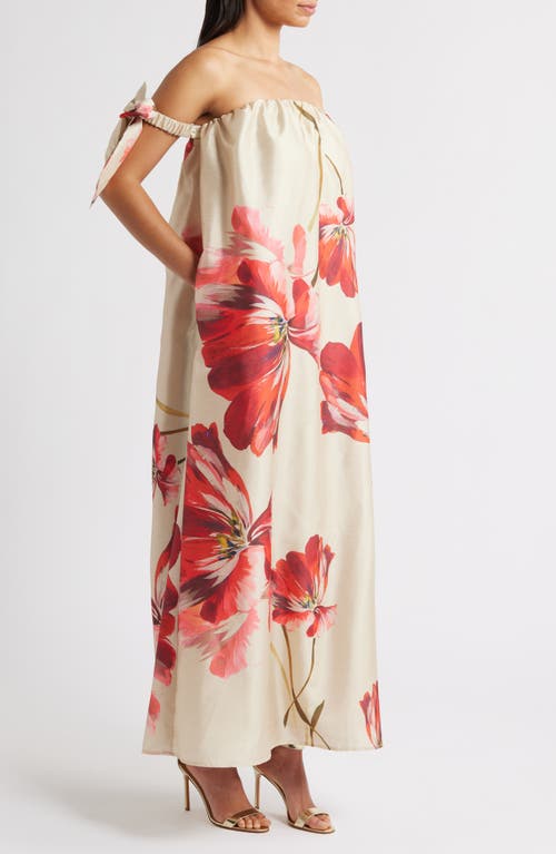 Hutch Iris Maxi Dress In Taupe Breezy Bloom