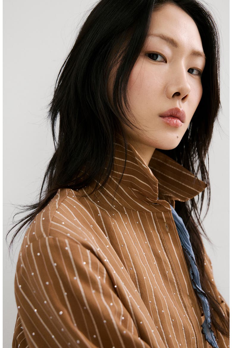 Stripe Rhinestone Shirt, Alternate, color, BROWN