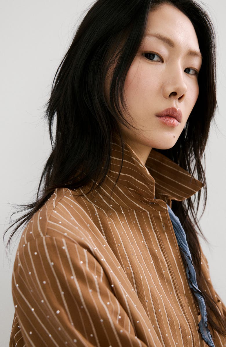 MANGO Stripe Rhinestone Shirt, Alternate, color, Brown