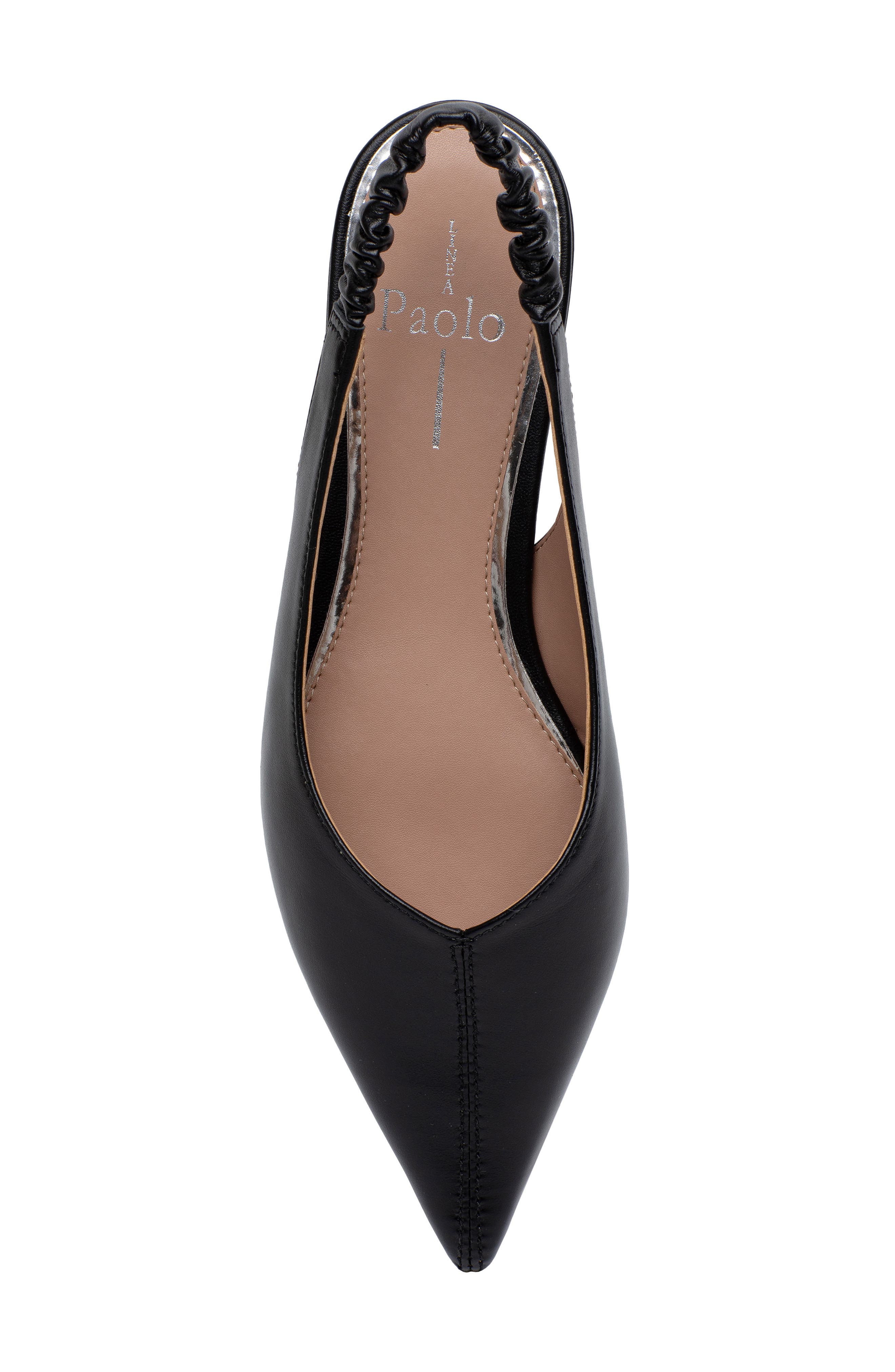 Linea Paolo Diana Slingback Pointed Toe Flat, Alternate, color, 