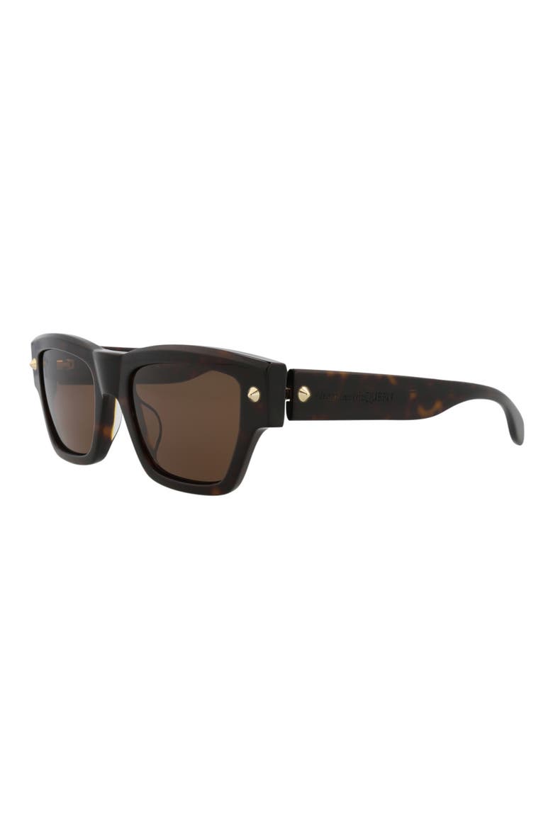 Fashion 53mm Square Sunglasses Glasses, Alternate, color, HAVANA HAVANA BROWN