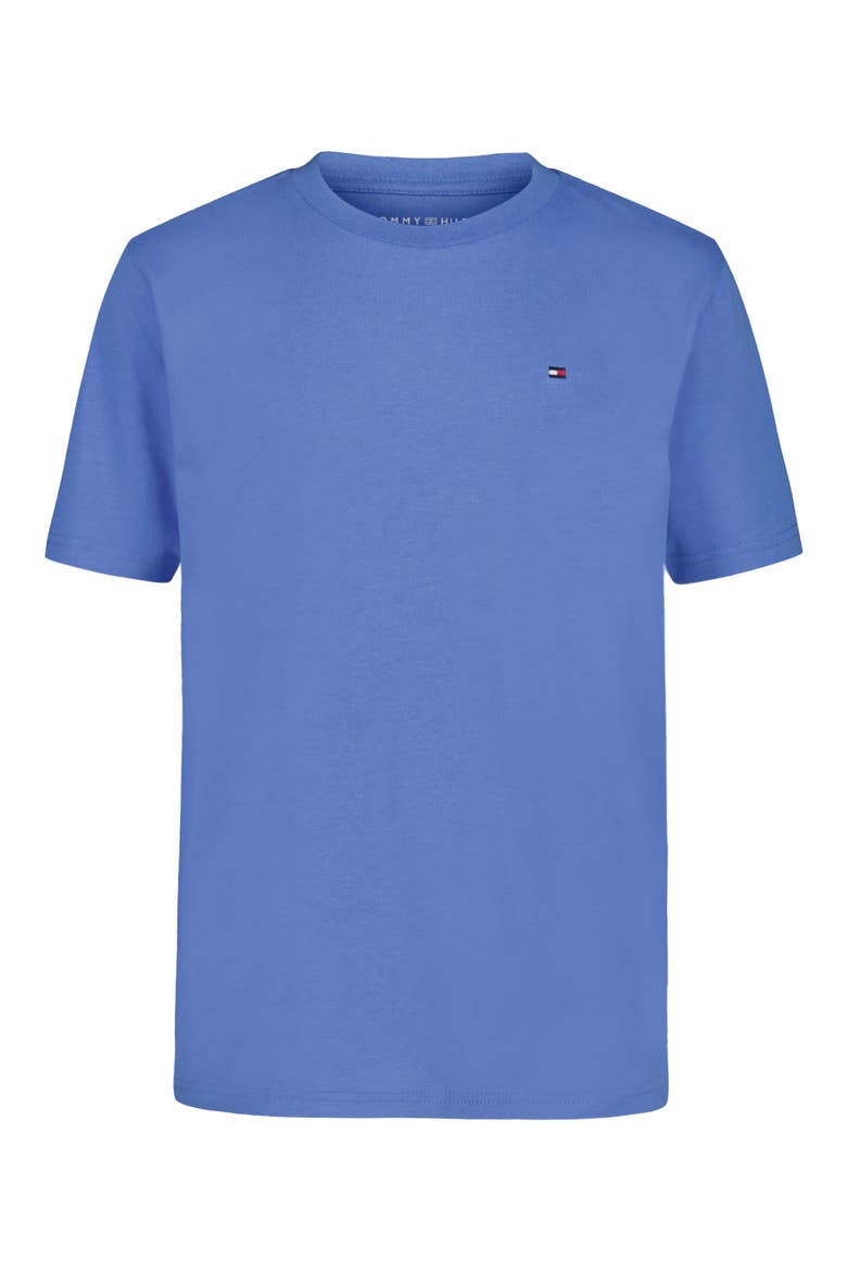 Kids' Cotton T-Shirt, Main, color, SPRING BLUE