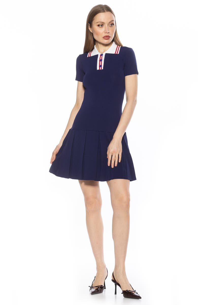 Alexia Admor Rory A-Line Polo Dress, Alternate, color, Navy