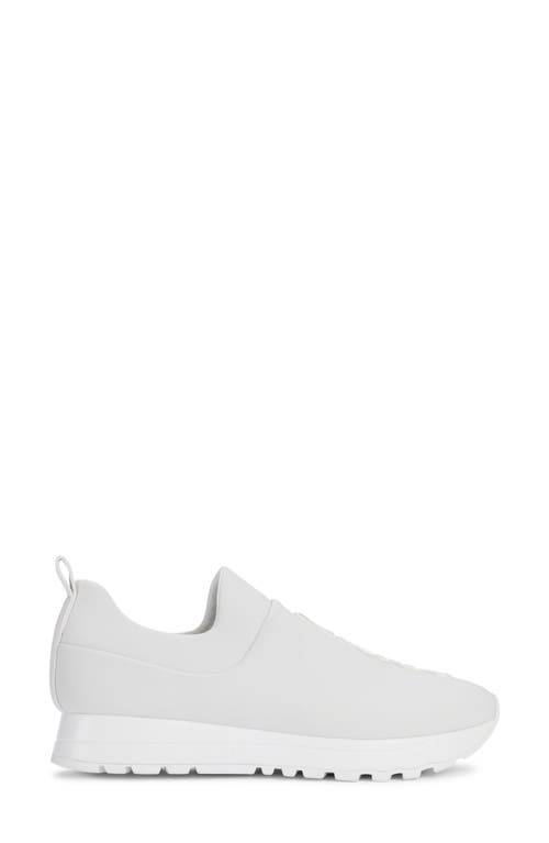 Dkny Jaydn Sneaker In White