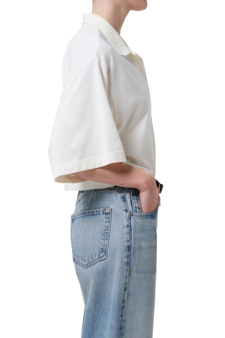 Lowen Oversize Cotton Polo, Alternate, color, PASHMINA