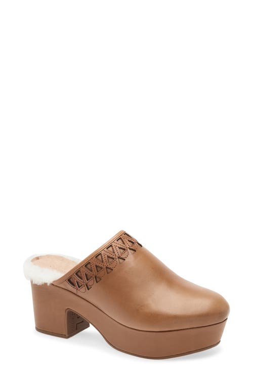 Chocolat Blu Gannet Platform Clog In Brown