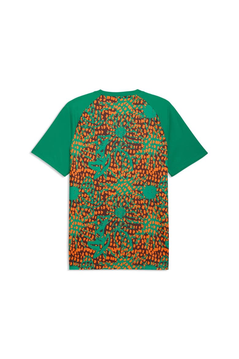 Men's Puma Green Ivory Coast National Team Pre-Match Jersey, Alternate, color, Green
