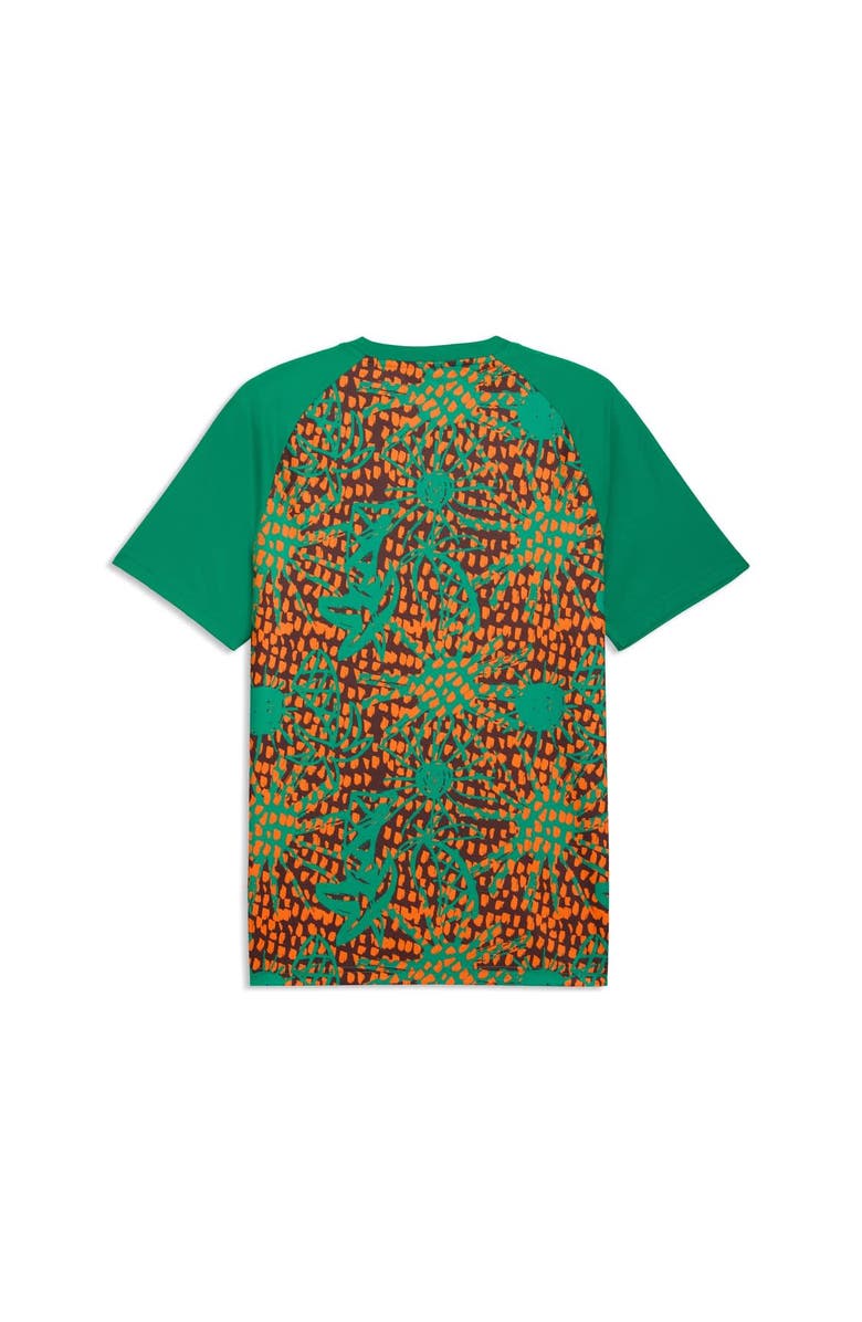 PUMA Men's Puma Green Ivory Coast National Team Pre-Match Jersey, Alternate, color, Green