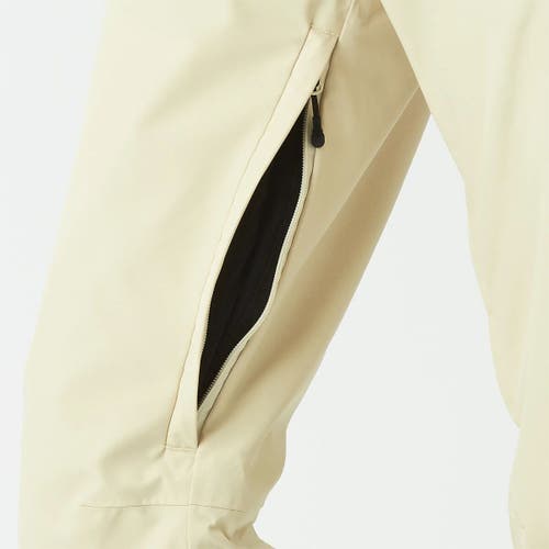 Picture Organic Exa Pant In Neutral