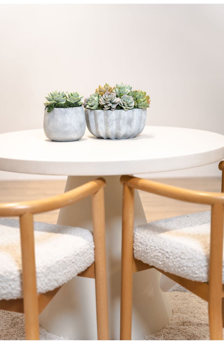 CocoBella Sandy Ceramic Succulent Arrangement, Alternate, color, Green