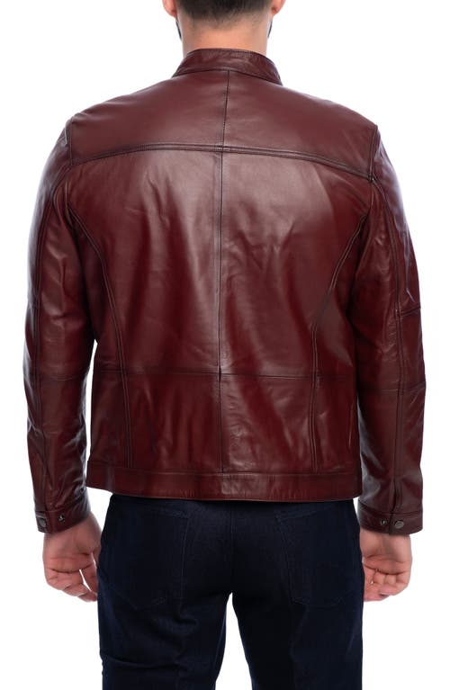 Vellapais Soft Leather Jacket In Burgundy
