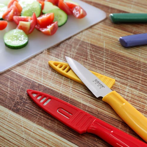 Gibson Everyday Colorsplash 4 Piece Paring Knife Set In Multi