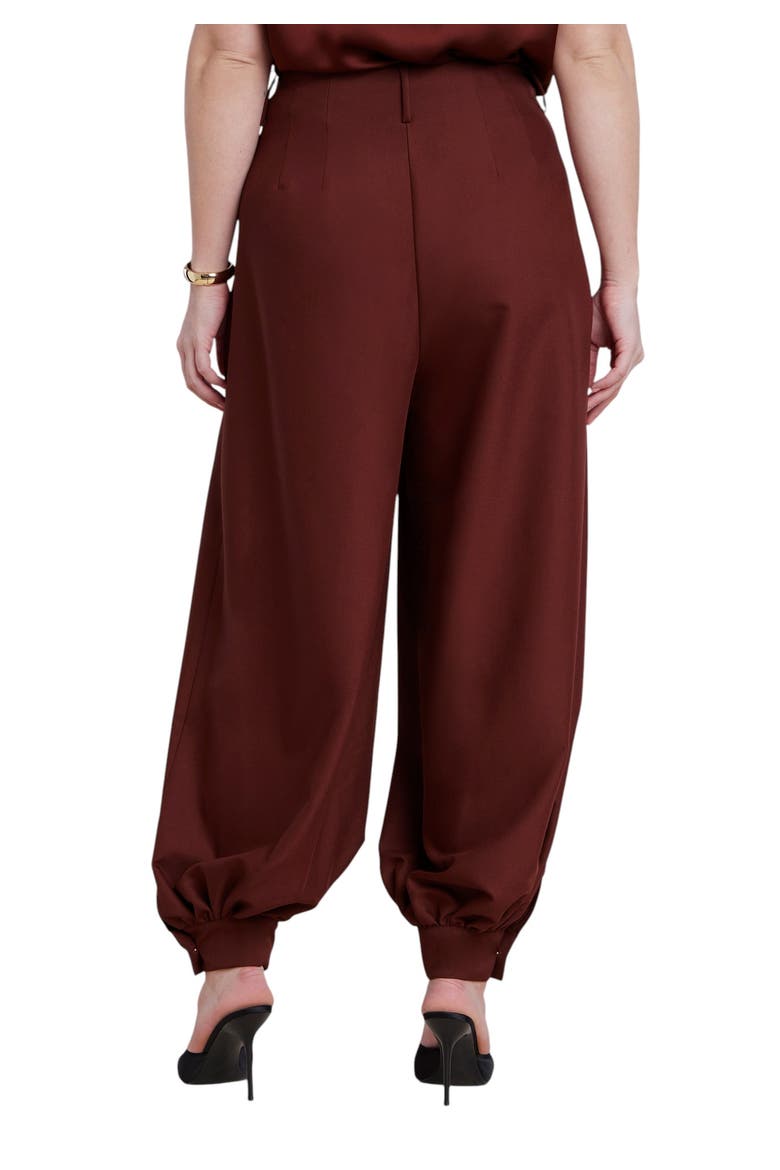 Balloon Trouser With Pleats, Alternate, color, CABERNET