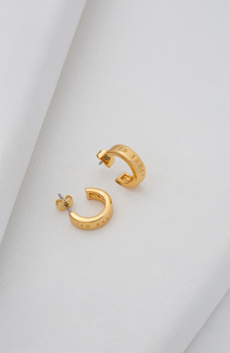 Ted Baker London Helanna Nano Logo Huggie Hoop Earrings, Alternate, color,
