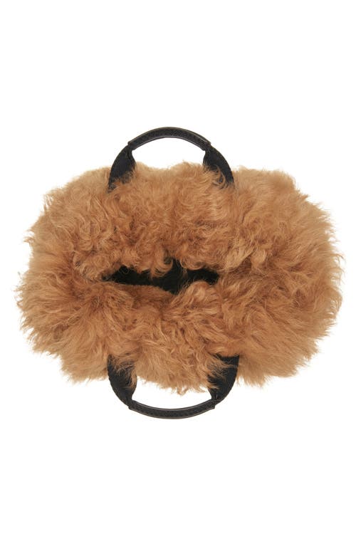 Moncler Micro Caradoc Genuine Shearling Crossbody Bag In Brown