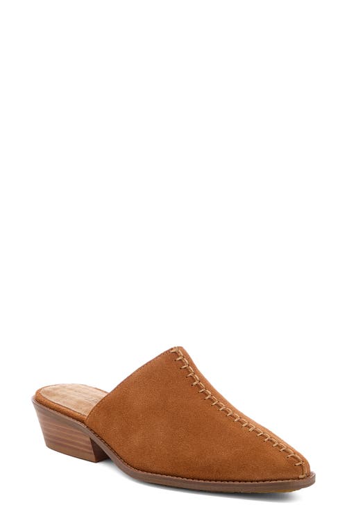 Kelsi Dagger Brooklyn Pierce Mule In Brown