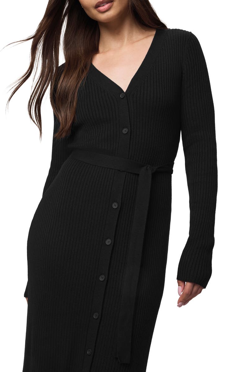 Splendid Georgie Long Sleeve Maxi Sweater Dress, Alternate, color, 