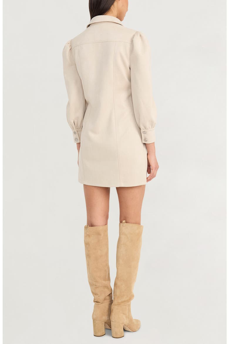 Long Sleeve Faux Suede Minidress, Alternate, color, FRENCH OAK