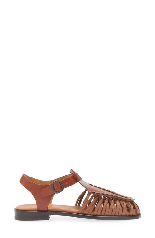Hereu Alaro Ankle Strap Sandal In Brown