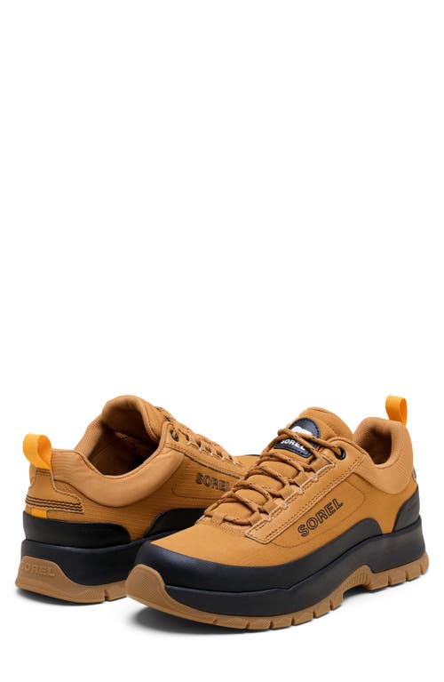 Sorel Outing Nw™ Low Waterproof Sneaker In Brown