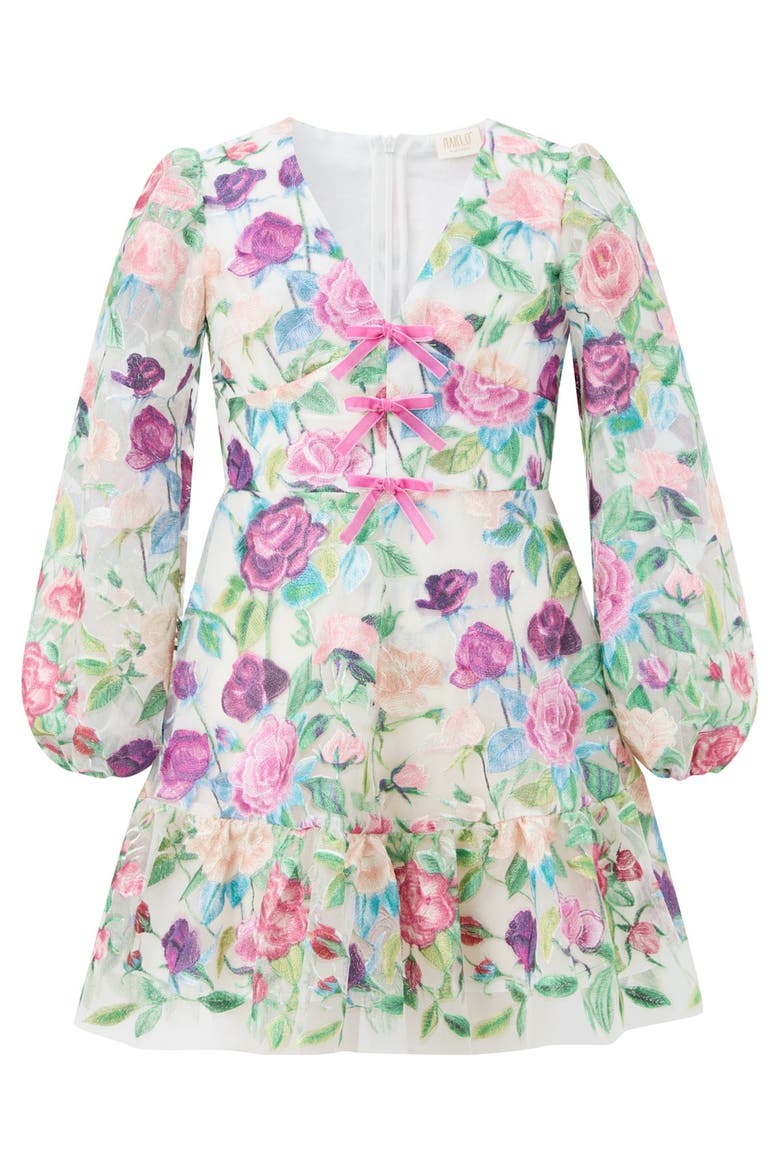 Rachelle Embroidered Mini Dress, Main, color, Floral
