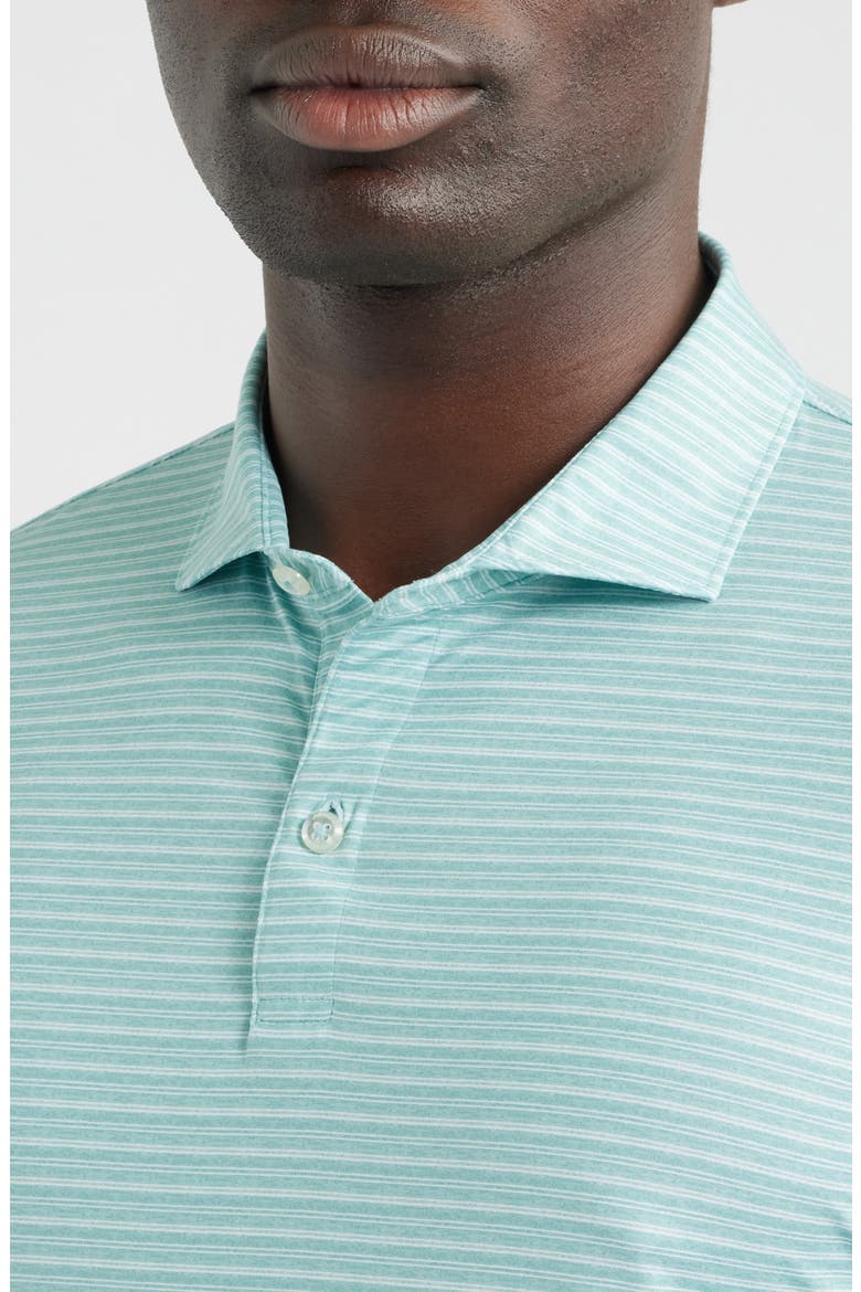 Printed Track Stripe Long Sleeve Performance Polo, Alternate, color, SUBLIME