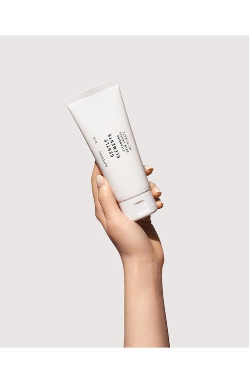 Superegg Gentle Elements Cleansing Foam In No Color