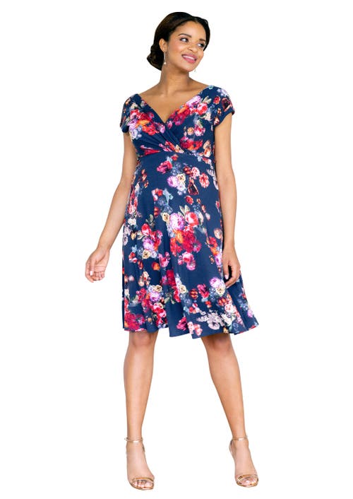 Tiffany Rose Maternity Alessandra Maternity Dress In Blue