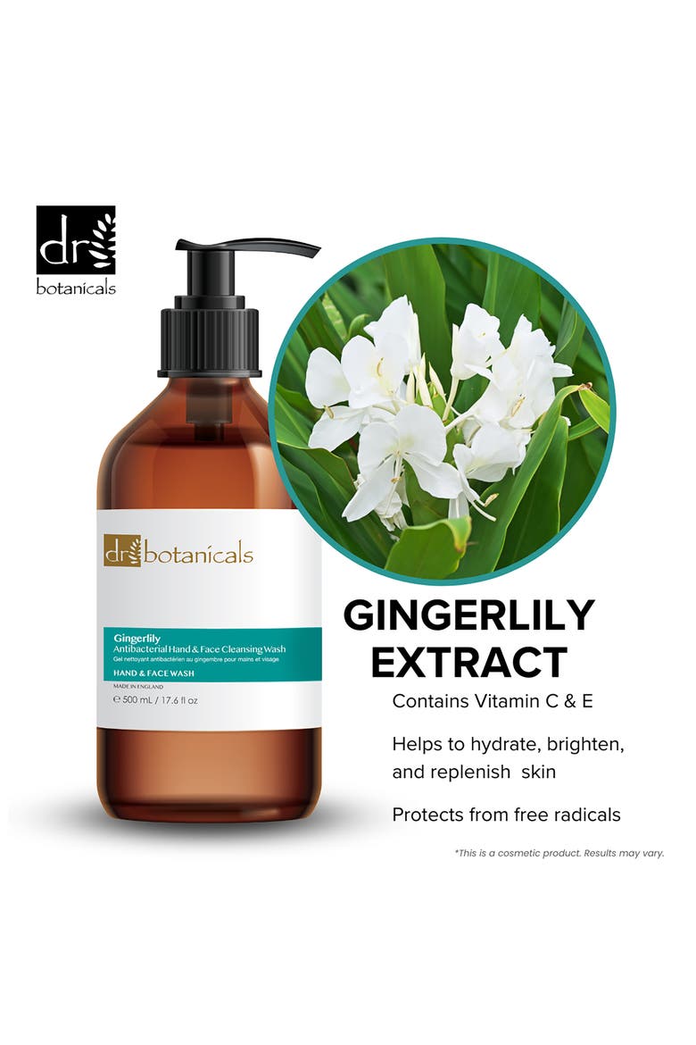 Gingerlily Antibacterial Hand & Face Cleansing Wash, Alternate, color, NO COLOR