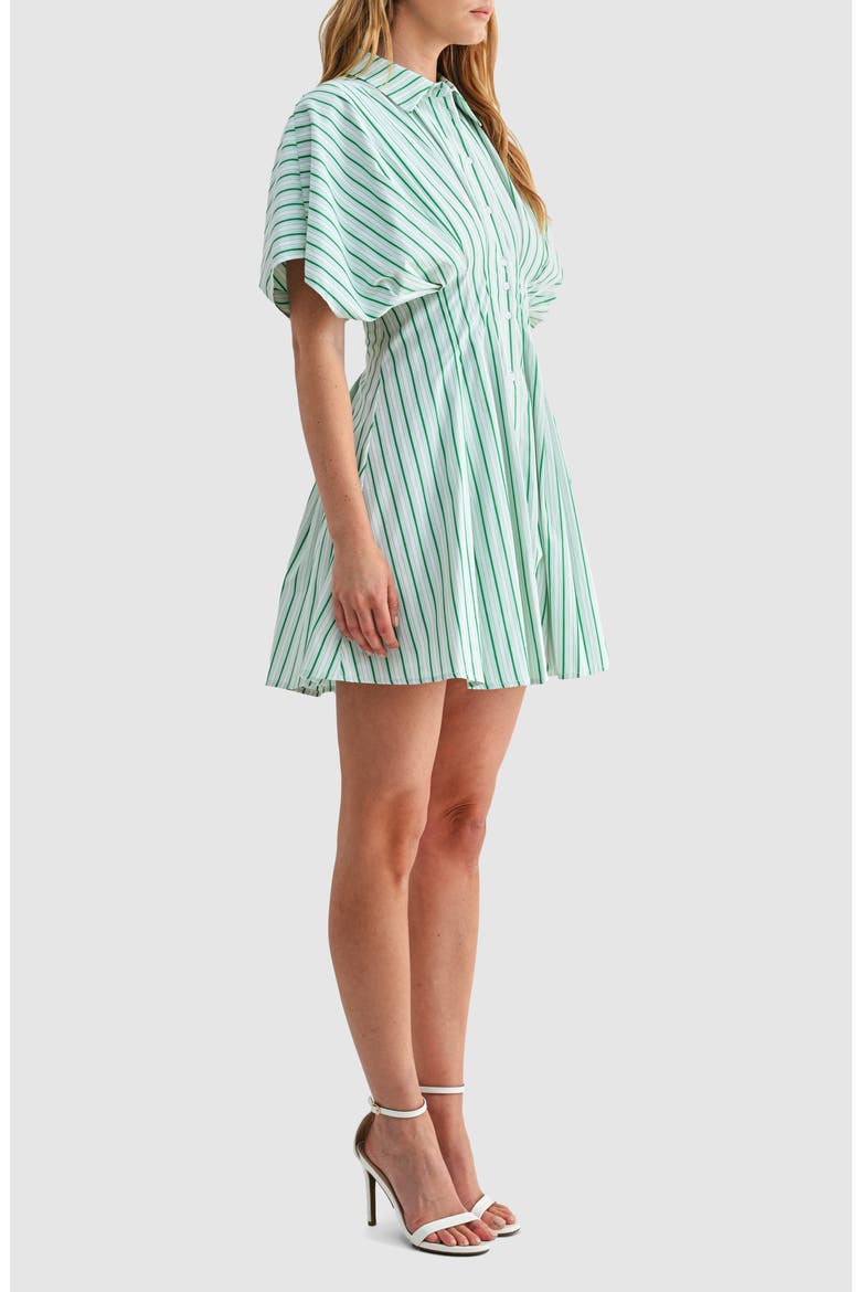 Stripe Pleated Dolman Sleeve Mini Shirtdress, Alternate, color, GREEN STRIPE