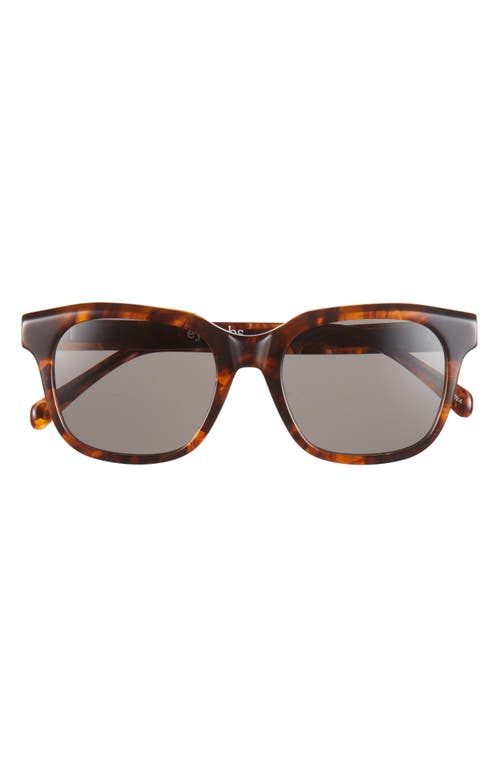 Eyebobs Nomad 50mm Square Polarized Sunglasses