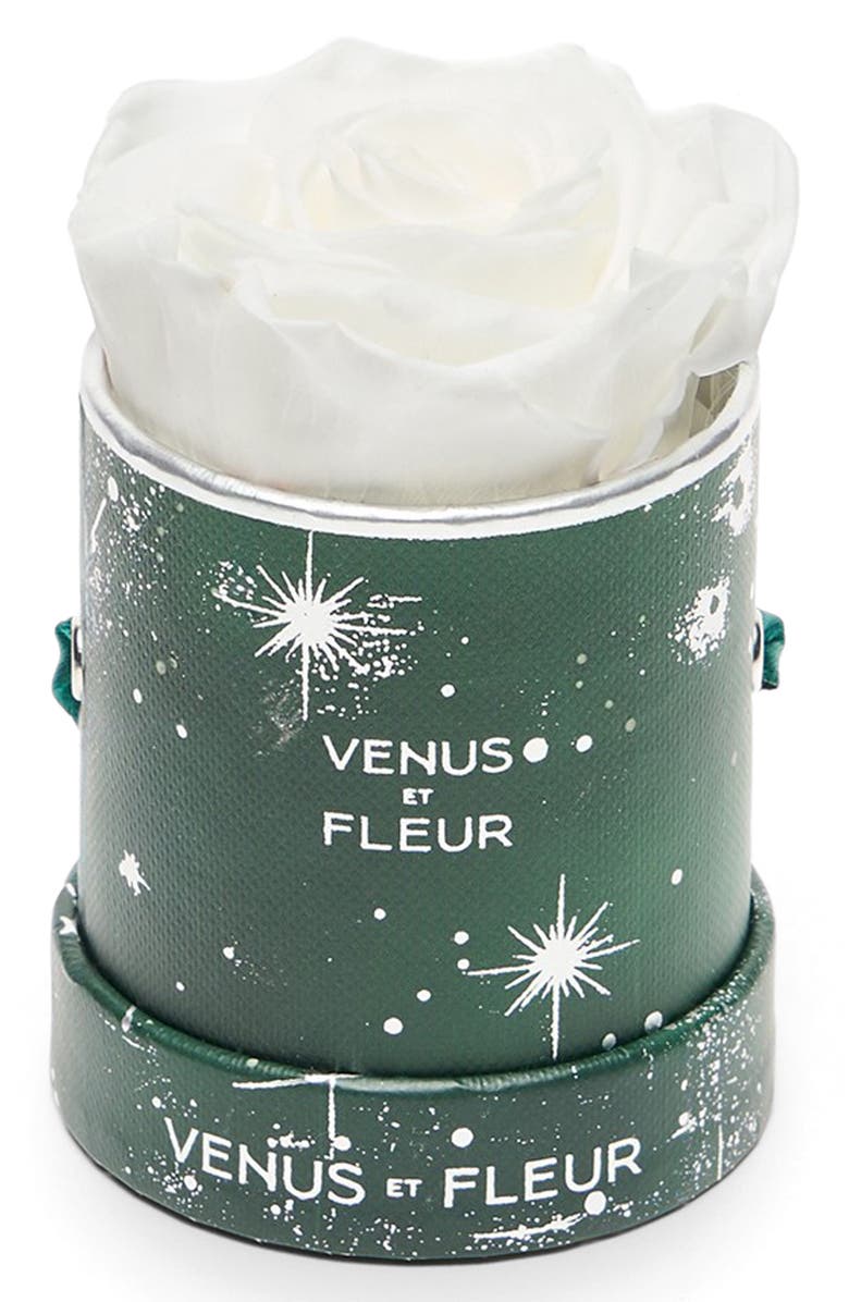 Venus ET Fleur Mini Round Holiday Zodiac White Eternity Rose<sup>®</sup>, Main, color, White