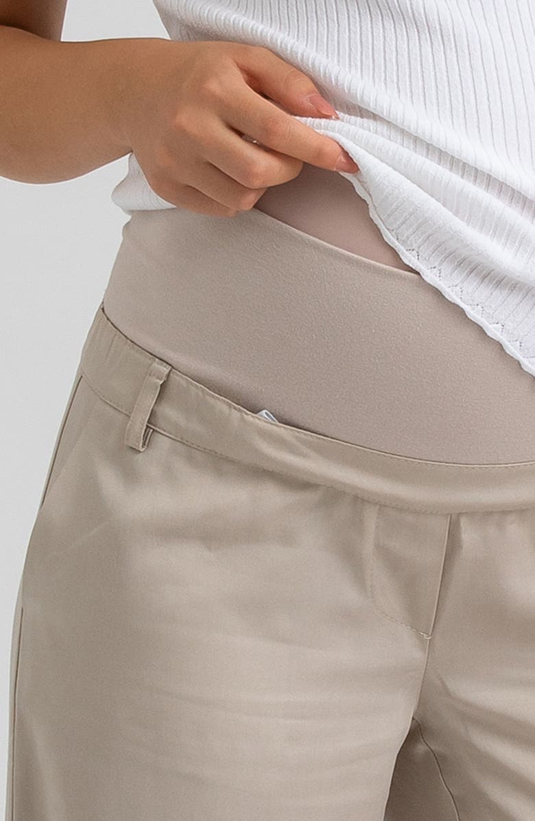 PIETRO BRUNELLI MATERNITY Ankle Wide Leg Maternity Pants, Alternate, color, 