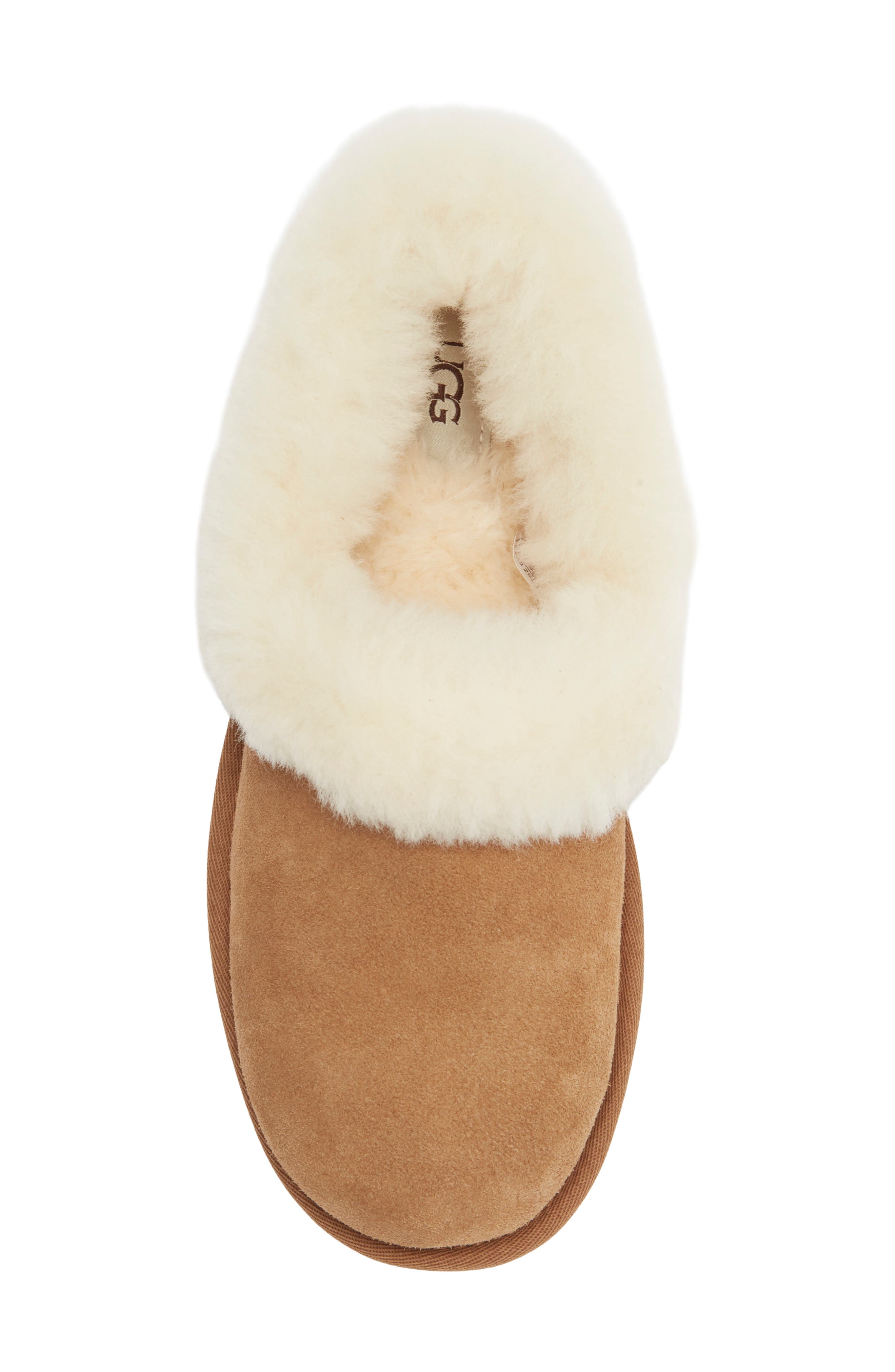 Nita UGGplush Slipper, Alternate, color, CHESTNUT