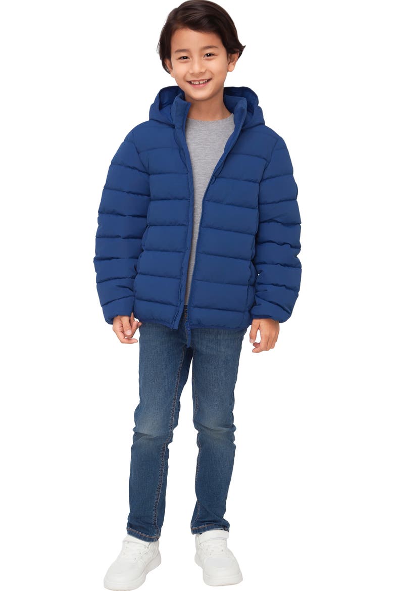 Kids' Hudson Lightweight Hooded Puffer Jacket, Alternate, color, Blue