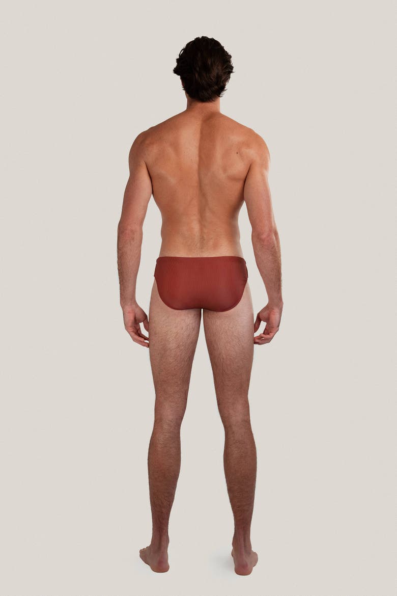 Dune Modern Cut Ribbed Stretch Swim Brief, Alternate, color, Rust