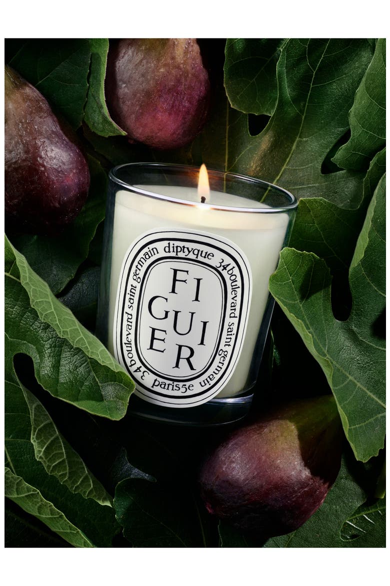 Figuier (Fig) Scented Candle, Alternate, color, CLEAR VESSEL