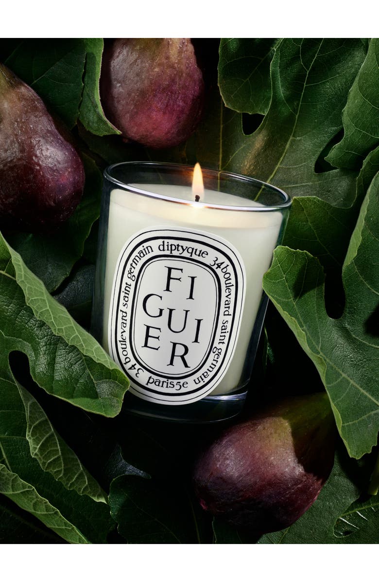 Diptyque Figuier (Fig) Scented Candle, Alternate, color, Clear Vessel