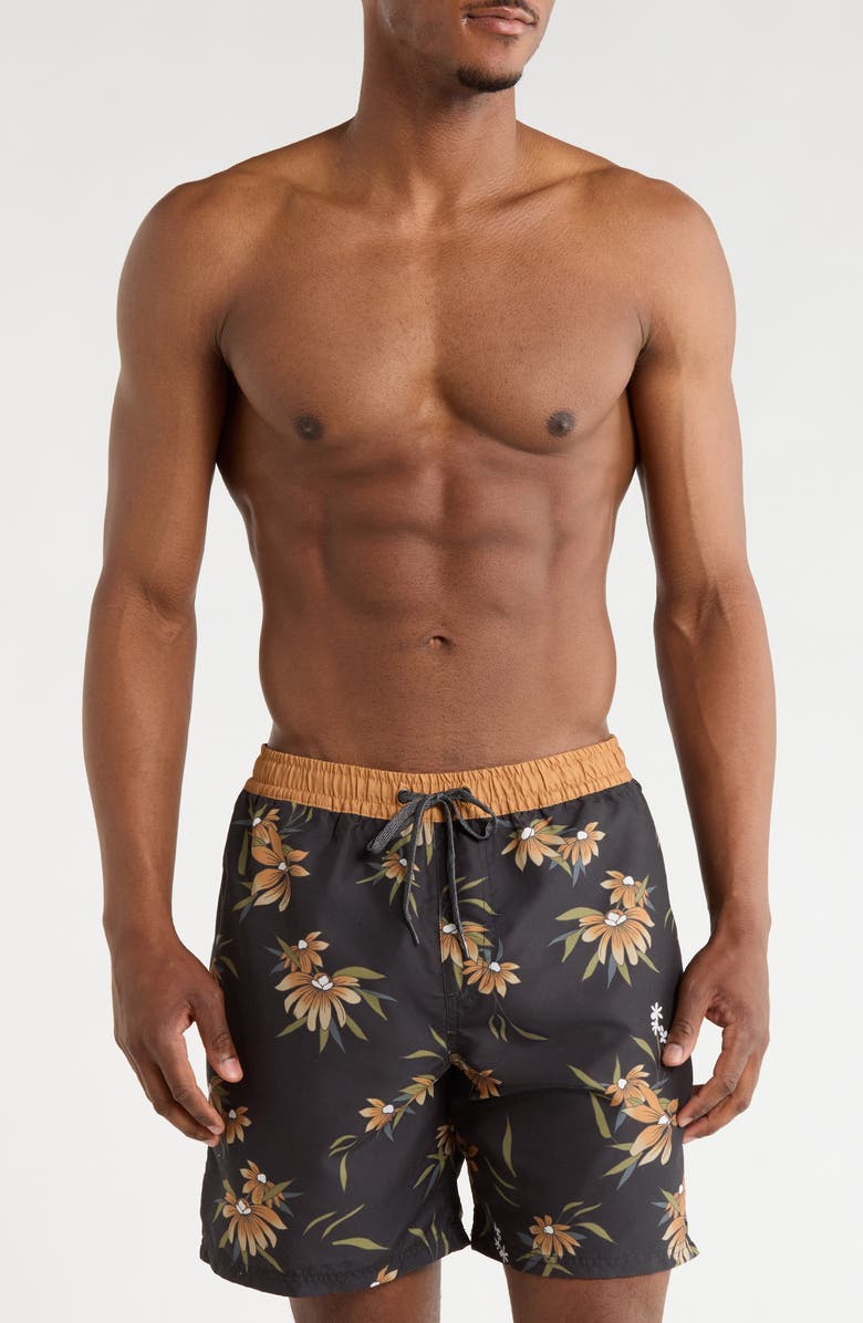 Quiksilver Everyday Water Repellent Coastal Flora Volley 6-Inch Swim Trunks, Main, color,